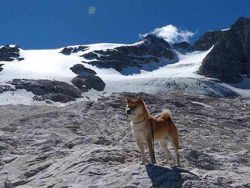 逆转的艺术与接管的力量，从阿根廷到曼城，足球场上的主宰时刻