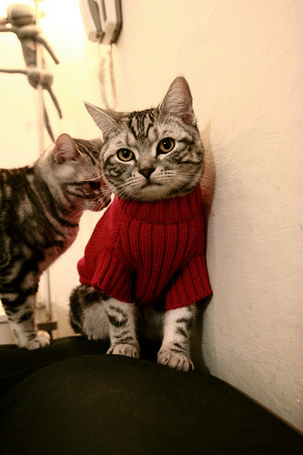 萨卡一锤定音，威尔士战术完胜苏格兰